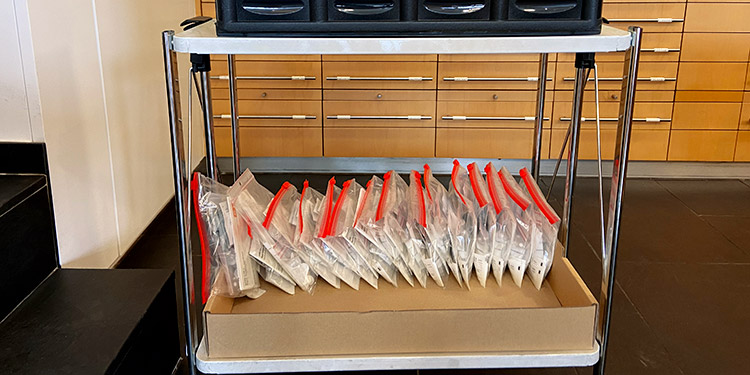 Die Covid-19-Schnelltests werden in Plastiksäcke à fünf Tests verpackt. (Bild: ab)