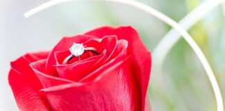 Rote Rosen als kleine Aufmerksamkeit zum Valentinstag: Für manch einen wird es dieses Jahr ernster. (Bild: pixabay / Goumbik)